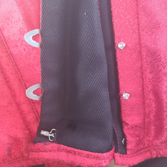 Hips and Curves Overbust Corset sz 36 - Picture 3 of 6